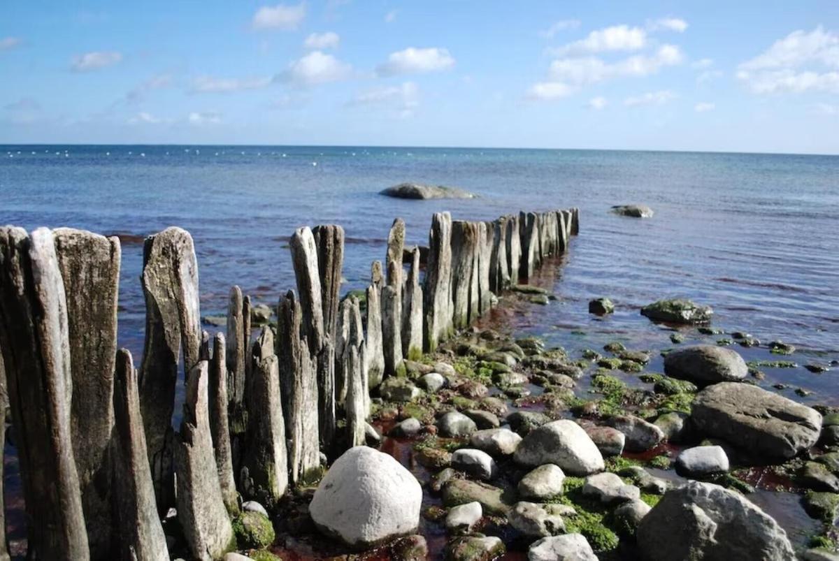 Seemoewe 1 Süssau Esterno foto